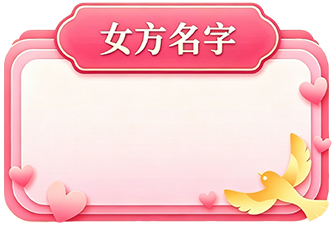 女方输入框背景